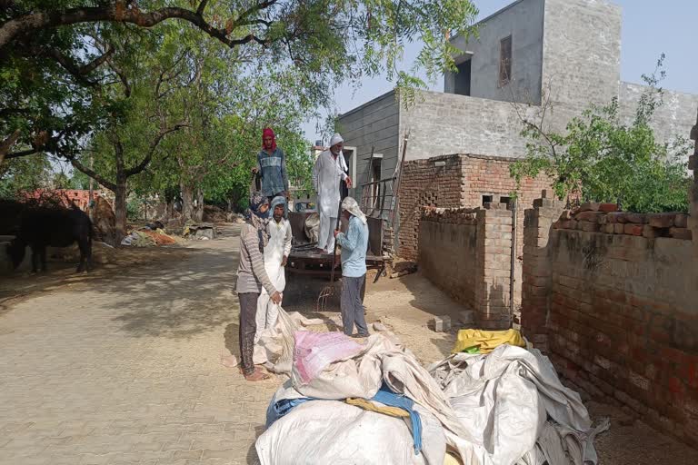 Hisar shortage of fodder