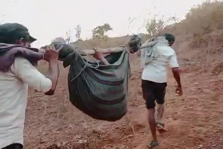 Pregnant Woman Carried In Doli