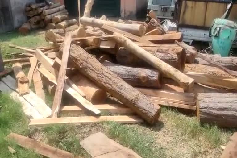 wood seized in angul