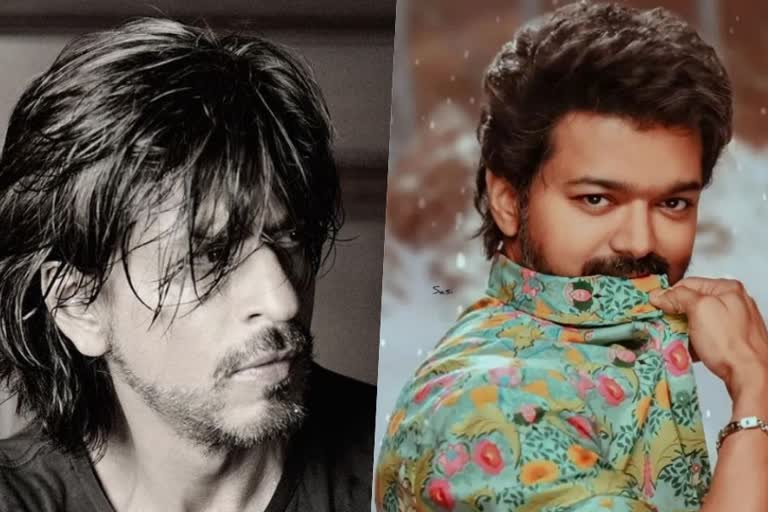 Vijay in Shah Rukh Khan Atlee movie  Vijay to play in Lion  വിജയ്‌ ഇനി ബോളിവുഡിലേക്ക്‌  കിംഗ്‌ ഖാനൊപ്പം ദളപതി വിജയ്‌  Vijay as guest role in Shah Rukh movie  Nayanthara in Shah Rukh movie  Vijay Atlee movies  Shah Rukh as Raw agent  Shah Rukh Khan latest movies