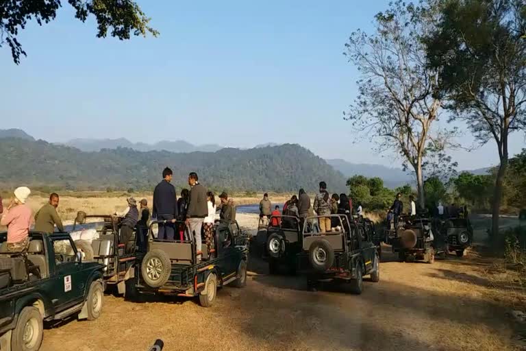 2 lakh 78 thousand tourists arrived in Corbett Park