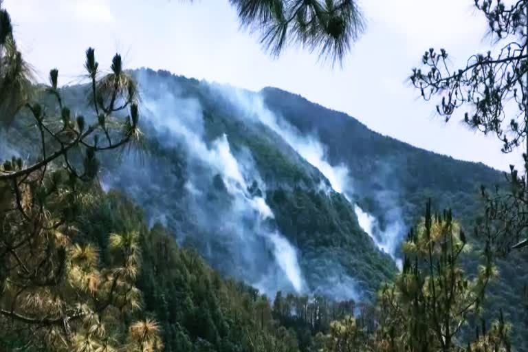 Fire broke out in Shimla forests