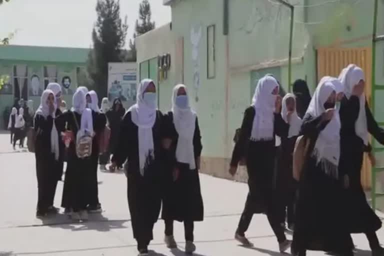 Taliban in fresh decree bans co-education in varsities