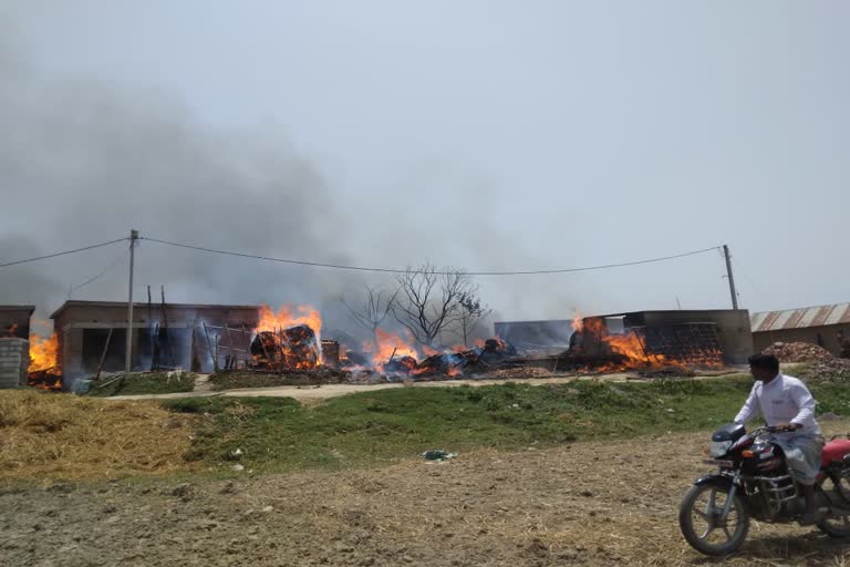 massive-fire-in-sahibganj-houses-and-cattle-burnt