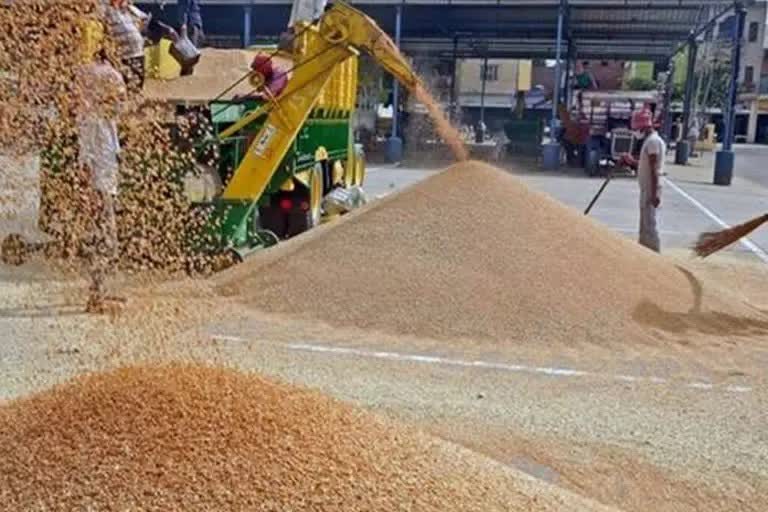 Wheat procurement at 15 year low despite rising demand