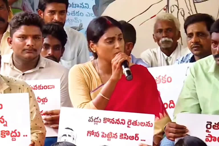 YS Sharmila: 'ప్రతిపక్షాలు బాధ్యత మరిచిపోవడంతోనే పార్టీ పెట్టా'