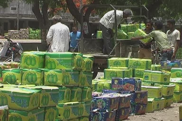 Kesar Mango auction Start in Junagadh : ફળોની રાણી કેસર કેરીની હરાજી ક્યાં થશે શરૂ, કેવા રહેશે બજારભાવો જાણો