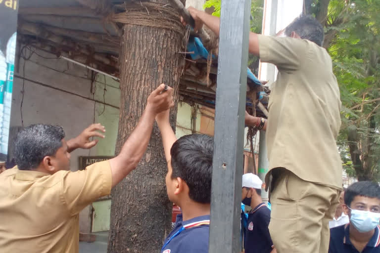 tree revitalization campaign in mumbai