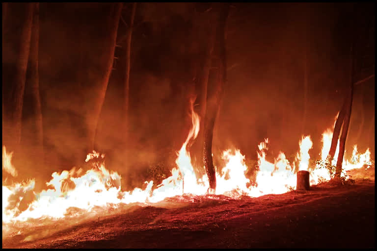 FIRE IN AMLEHAR FOREST UNA