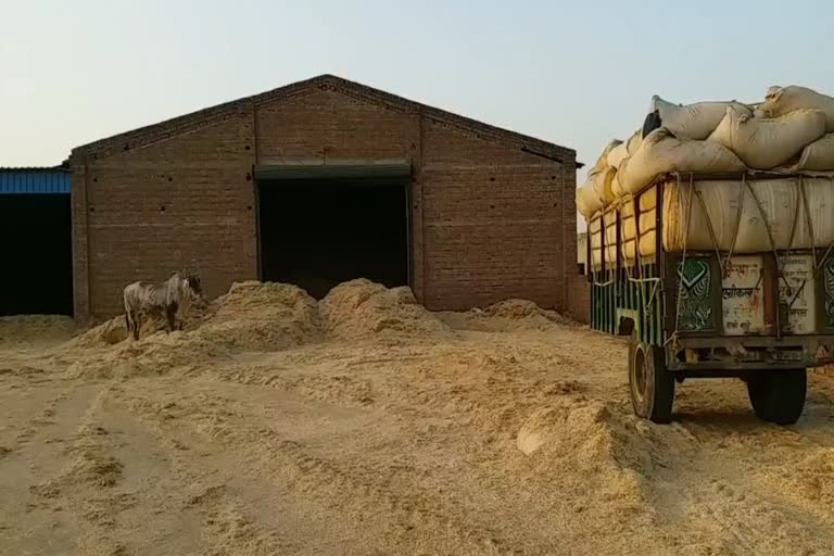 dry fodder crisis in haryana