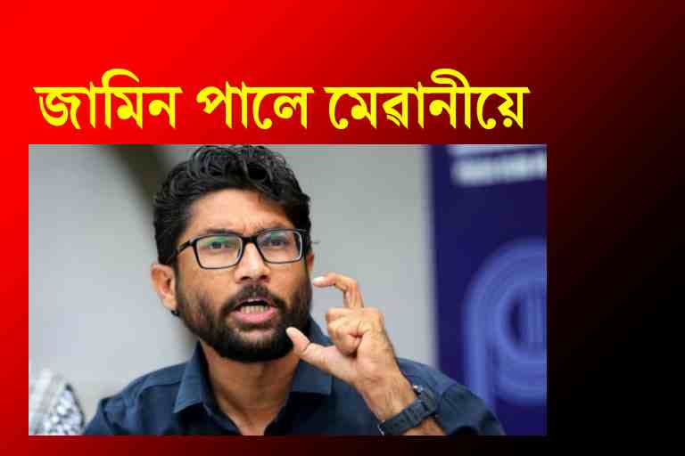 Jignesh Mewani granted bail