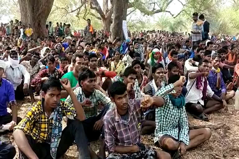 protest  of tribals in bastar