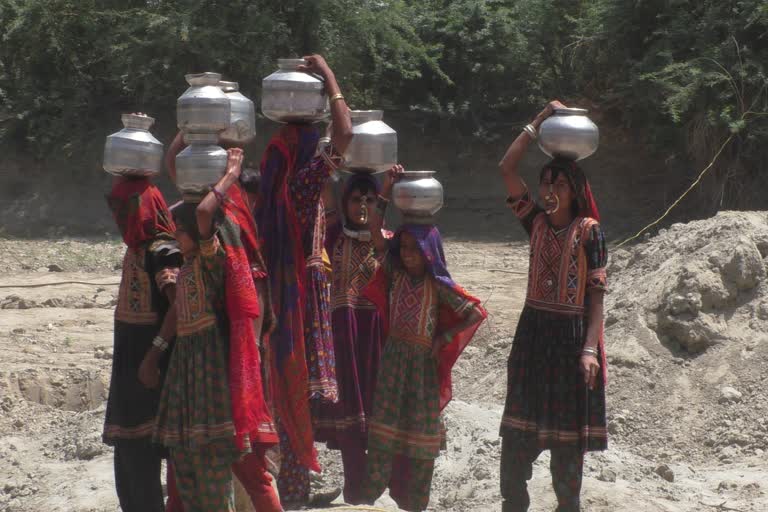 Surviving the summer in a water-less Gujarath  hundreds migrate to other areas with their cattle  ഉത്തരേന്ത്യന്‍ ഗ്രാമങ്ങളില്‍ അതിശൈത്യം  ഉത്തരേന്ത്യയിലെ ചുടുകാറ്റ്  ഉത്തരേന്ത്യയില്‍ വരള്‍ച്ച്  ഗുജറാത്തില്‍ വരള്‍ച്ച