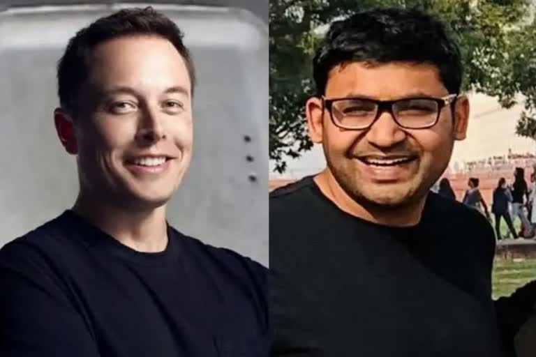 elon musk parag agarwal