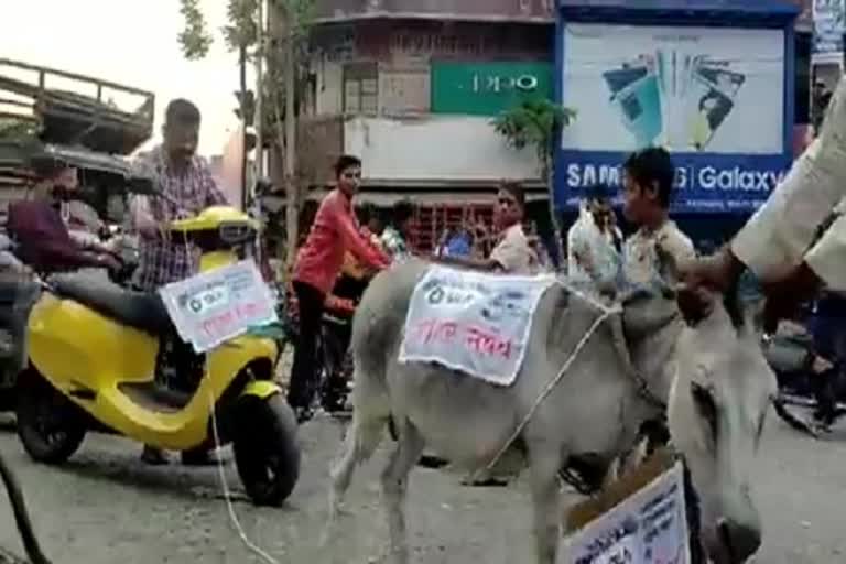 man-ties-faulty-electric-scooter-to-donkey
