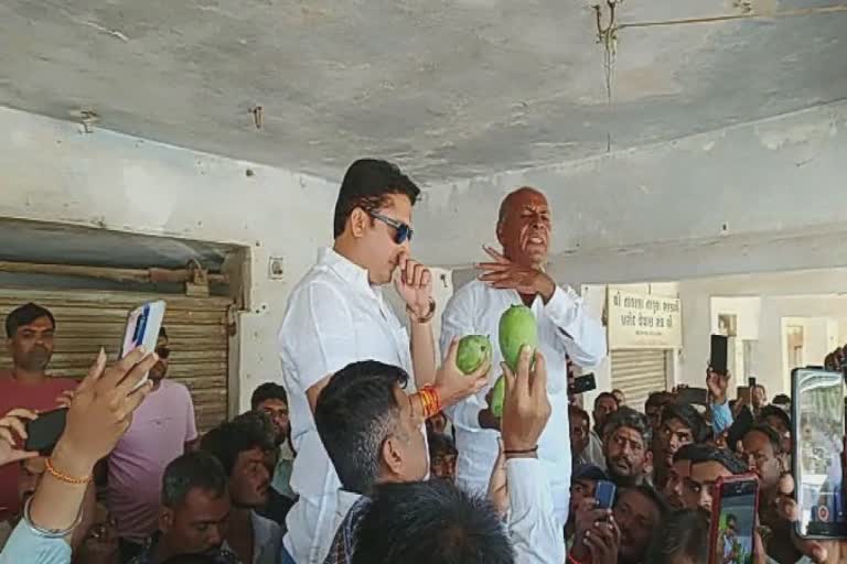 kesar mango auction: ફળોના રાજા ગણાતી કેસર કેરીની બજારમાં એન્ટ્રી, જાણો પ્રતિ 10 કિલો બોક્સના ભાવ