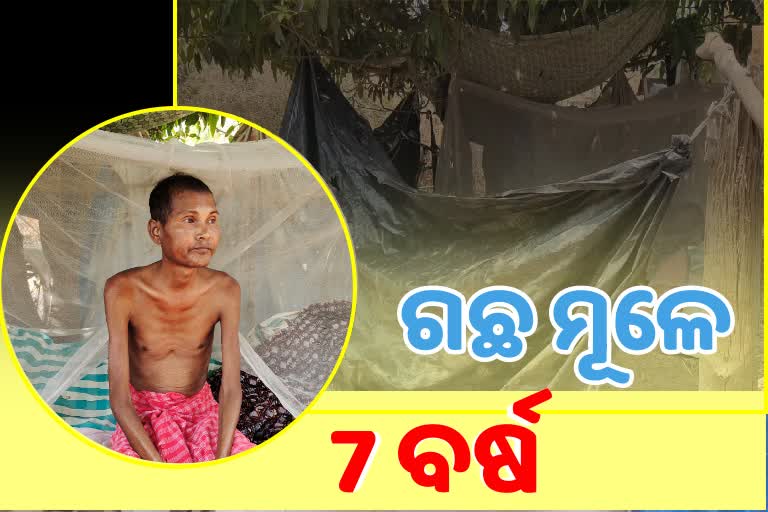 ଅସହାୟ ଜନ୍ମାଞ୍ଜୟ: ୭ ବର୍ଷ ହେଲାଣି ଆମ୍ବ ଗଛ ମୂଳେ ବିତୁଛି ଜୀବନ