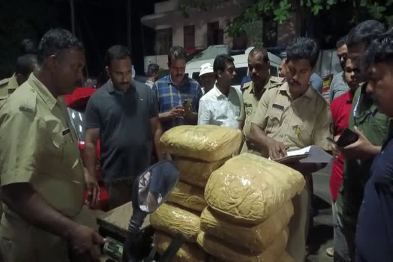 Ganja Seized  Ganja Seized in thiruvananthapuram  കഞ്ചാവുമായി യുവാക്കള്‍ പിടിയിൽ  50 കിലോ കഞ്ചാവ് പിടികൂടി  crime news keral latest