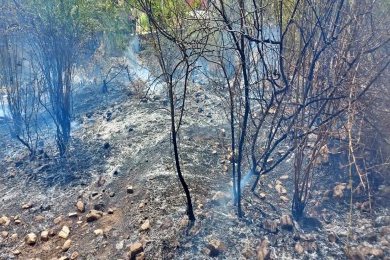 Fire in Jaipur