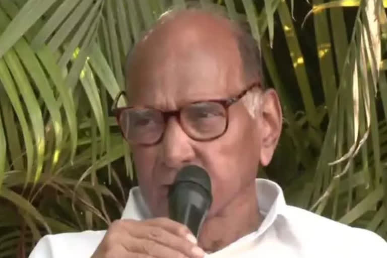 Patel Commission summons Sharad Pawar in Bhima Koregaon case