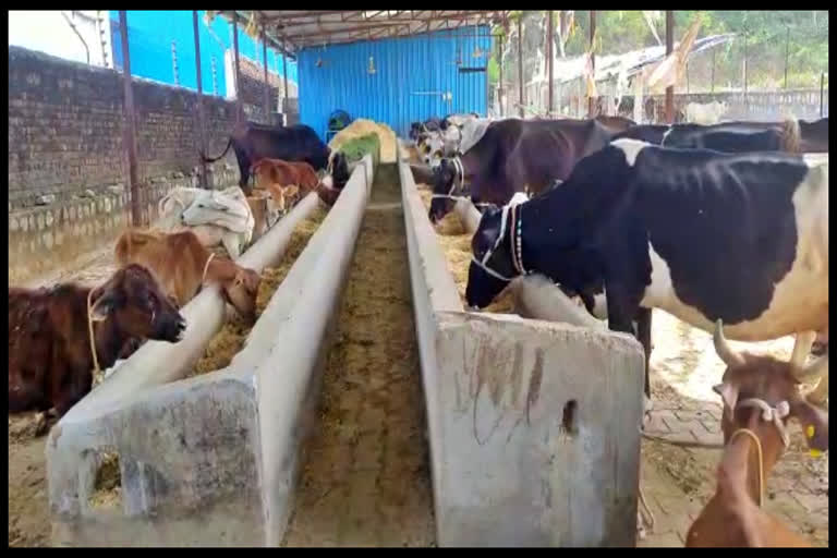 Straw crisis in Himachal