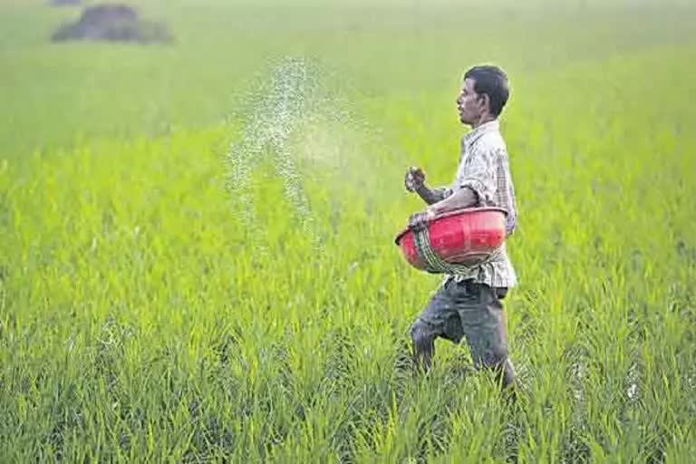 fertilizers subsidy