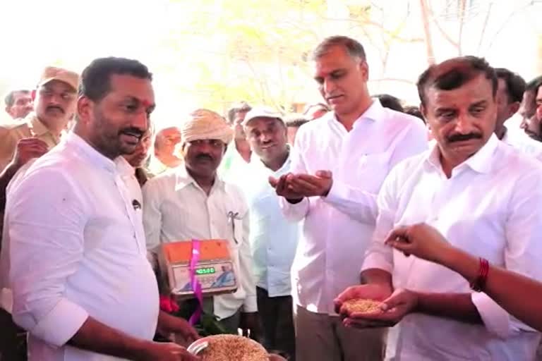 Harish Rao Comments on BJP