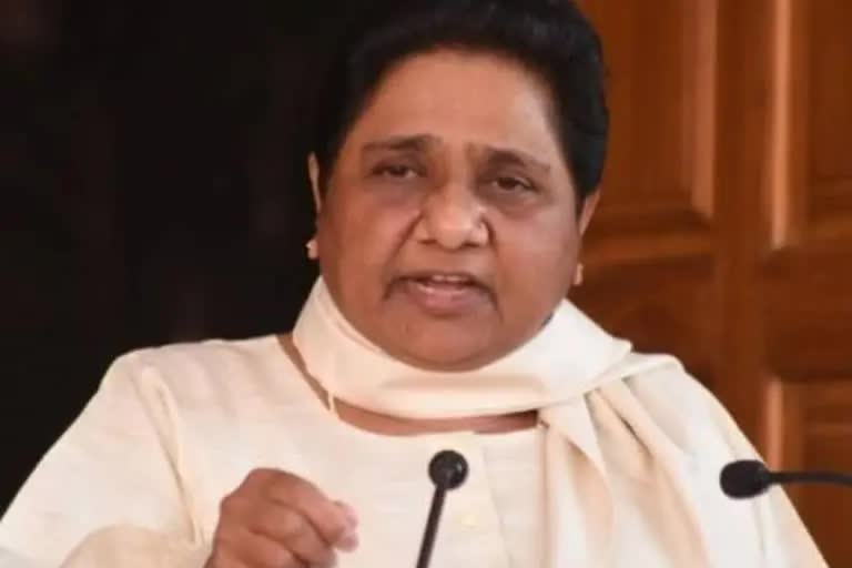 mayawati on Akhilesh