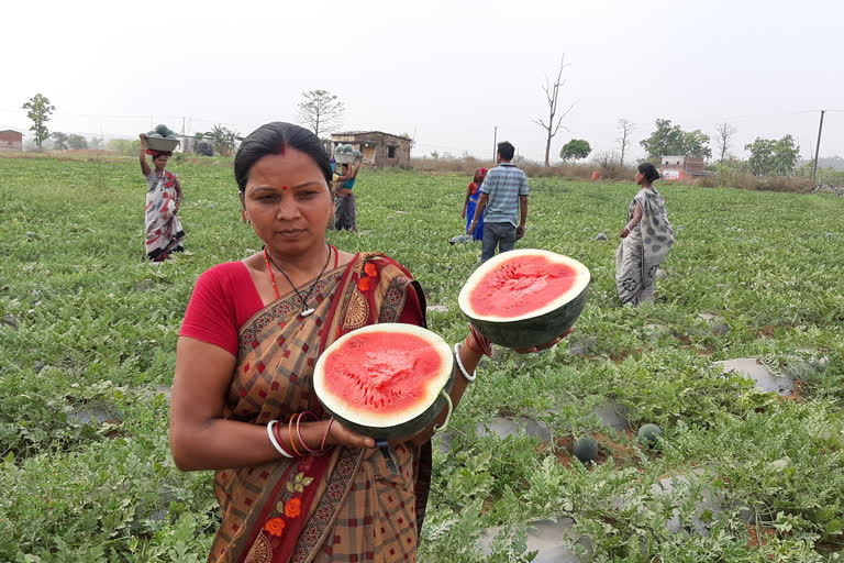 Female farmers cultivates watermelons worth Rs 17 lakh in Jharkhand