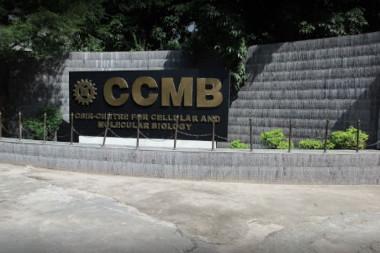 ccmb