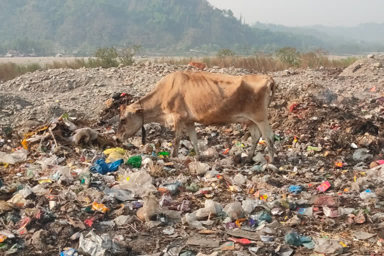 Waste dumping site in Paonta Sahib