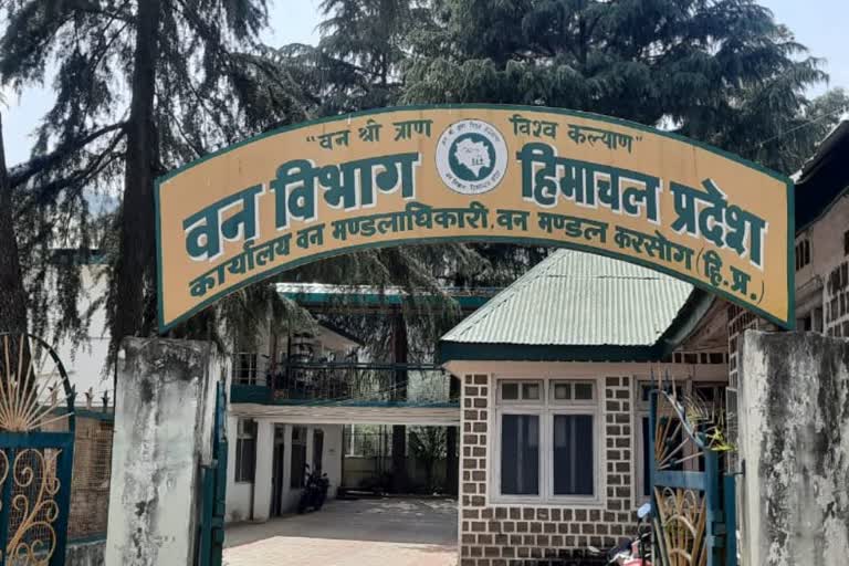 Forest Department constituted task force in Karsog