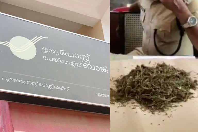 കൊല്ലം കഞ്ചാവ് പോസ്റ്റ് ഓഫിസ് പിടികൂടി  പോസ്‌റ്റ്‌ ഓഫിസ് വഴി എത്തിച്ച കഞ്ചാവ് പിടികൂടി  കൊല്ലം കഞ്ചാവ് പിടികൂടി  ganja seized at kollam post office  ganja sent via parcel seized in kollam  kollam ganja smuggling via parcel  പാഴ്‌സലായി കഞ്ചാവ്