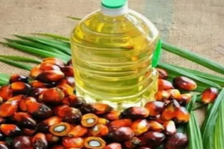 Indonesia’s palm oil export ban puts half of India’s supply under cloud