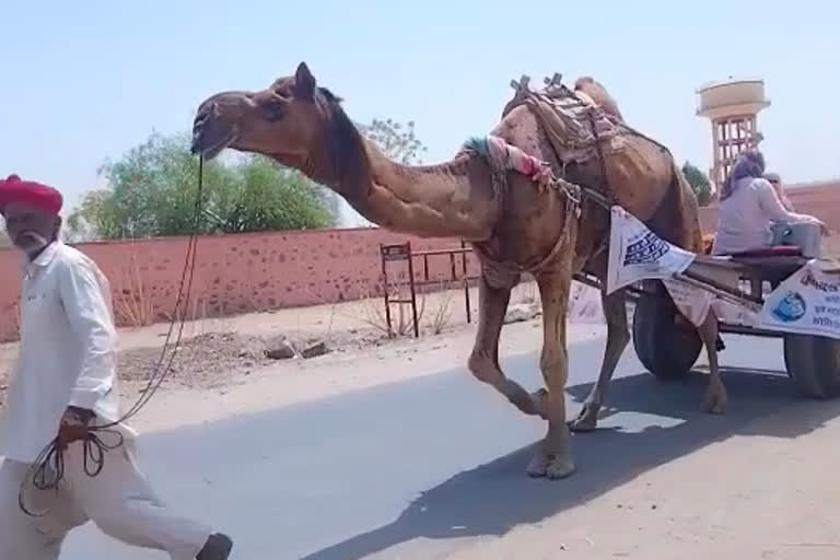 Rajasthan govt launches special COVID vaccination drive on camel carts
