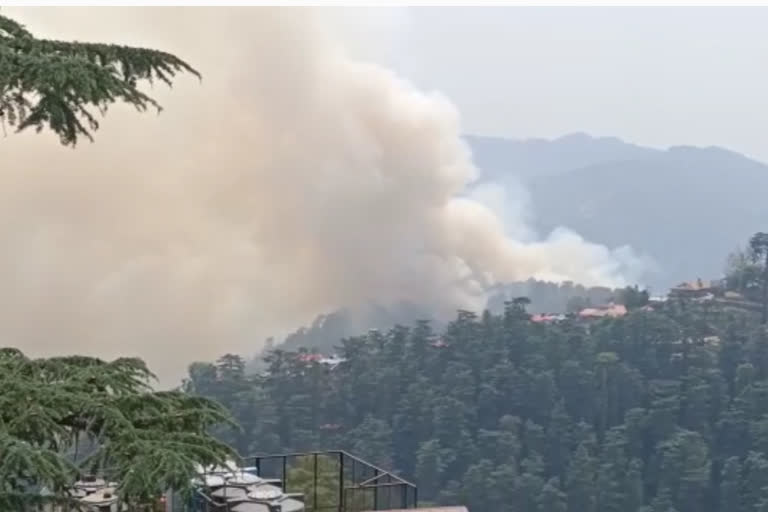 fire breaks out in Tutikandi forest