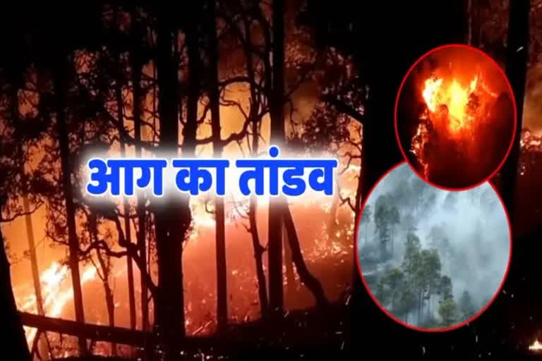 forest fire incidents