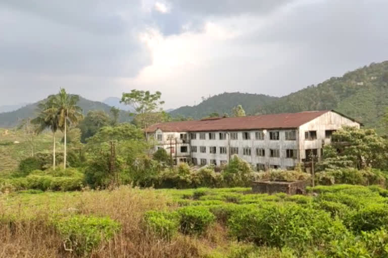 international workers day latest  peermade lonetree tea factory latest  idukki plantation workers latest  lonetree tea factory closed  അന്താരാഷ്‌ട്ര തൊഴിലാളി ദിനം  പീരുമേട് ടീ ഫാക്‌ടറി തോട്ടം തൊഴിലാളികള്‍  തോട്ടം തൊഴിലാളികള്‍ ദുരിതം  ഉപ്പുതറ ലോൺട്രി പീരുമേട് ടീ ഫാക്‌ടറി