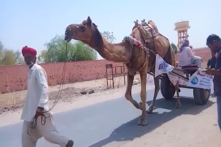Corona Cases In Rajasthan  Covid 19 Cases increasing in Rajasthan  Covid Vaccination in Rajasthan  Corona Vaccination on camel cart in Barmer  Barmer Latest News  Vaccination On Camel Cart  Rajasthan govt launches special COVID vaccination drive on camel carts  ഒട്ടകവണ്ടിയിൽ വാക്‌സിനേഷൻ  ഒട്ടകവണ്ടിയിൽ കൊവിഡ് വാക്‌സിനേഷൻ  കൊവിഡ് വാക്‌സിനേഷൻ  ജില്ലാ റിപ്രൊഡക്‌റ്റീവ് ആൻഡ് ചൈൽഡ് ഹെൽത്ത് ഓഫീസർ  രാജസ്ഥാൻ ഒട്ടകവണ്ടിയിൽ വാക്‌സിനേഷൻ  ധാരാ സൻസ്ഥാൻ