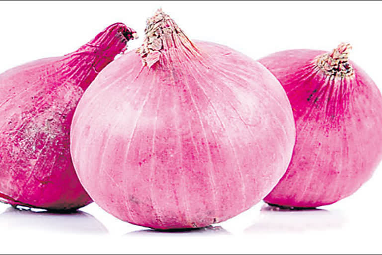 Onion