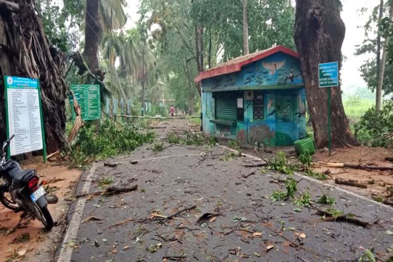 heavy-rain-in-mandya-district