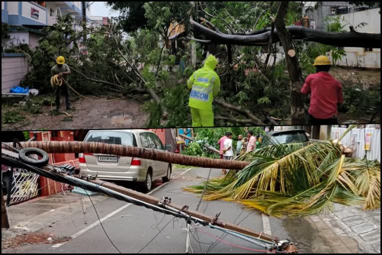 Rain-related Incidents in Bengaluru