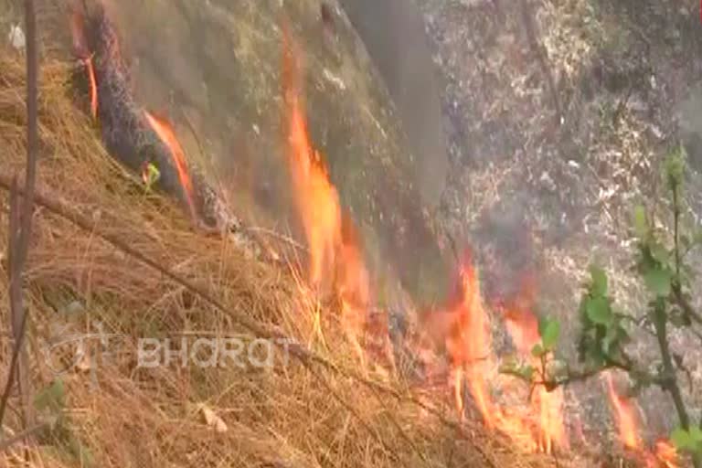 ಹಿಮಾಲಯಕ್ಕೆ ಬೆದರಿಕೆ ಒಡ್ಡಿದ ಉತ್ತರಾಖಂಡ ಅರಣ್ಯದ ಬೆಂಕಿ: ಇದಕ್ಕೆಲ್ಲಾ ಕಾರಣ ಏನು?