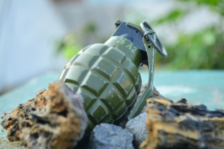 Soldier Detained With Grenade