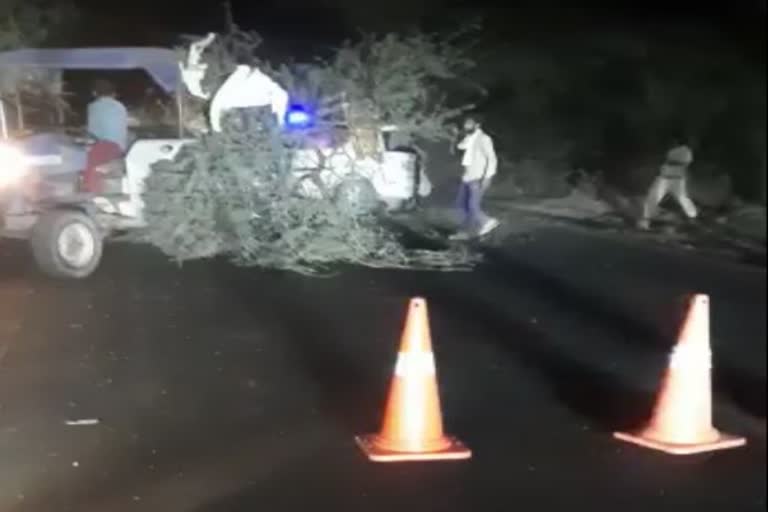 car collided with tree in Fatehabad