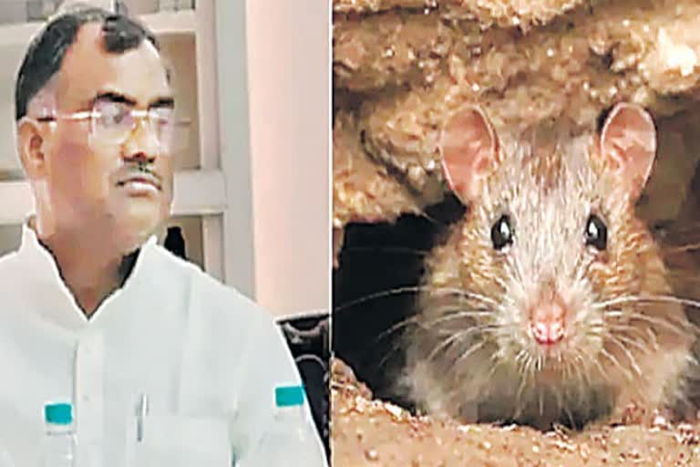 UP minister rat bitten