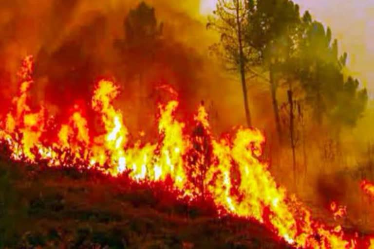 Black Carbon threat looms large on Himalayas due to forest fires