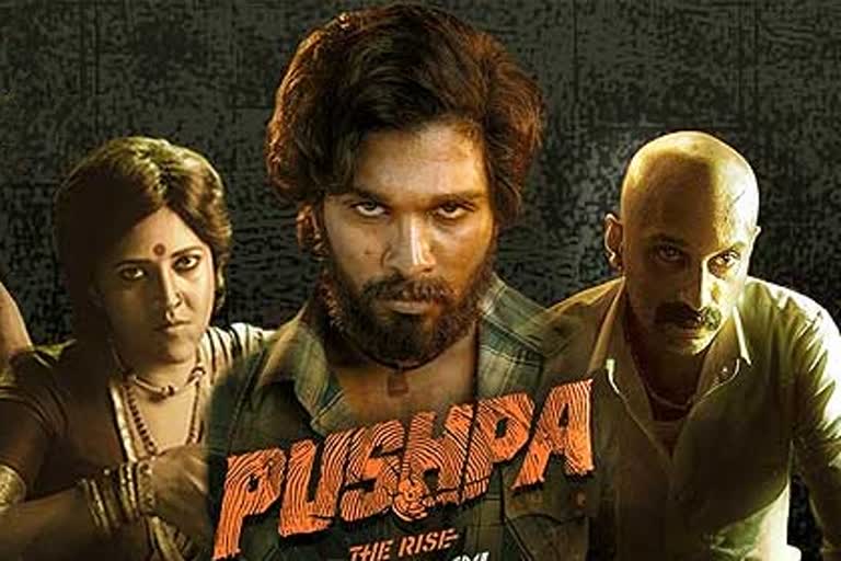 pushpa 2 movie script changes