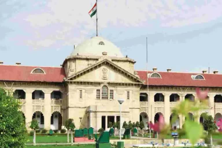 allahabad highcourt womens possessive