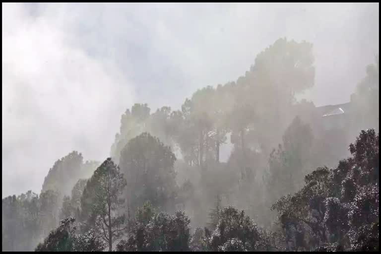 Forests fire extinguished by rain water